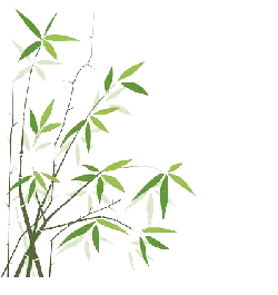 Bamboo - branch - Transparent Layer PNG