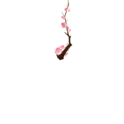 Pink Flowers - bloom - flower - Lossless PNG