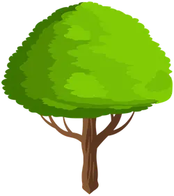 Cartoon Tree - simple - Highly Rated PNG