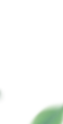 Green Leaf - life - leaf - High Resolution PNG