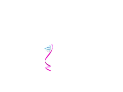 Party Hat - Trending PNG