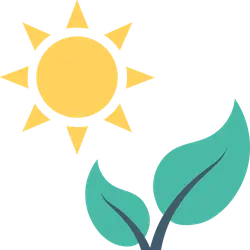 Sun and Plant - leaves - Transparent Background PNG