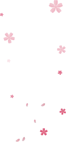 Pink Petals Falling - Free Download PNG - No Watermark PNG