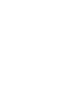 Carnation - simple - black background - High Resolution PNG