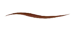 Brown Wave Line - art - Transparent Background PNG