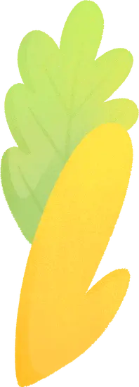 Carrot Leaf - nutrition - High Resolution PNG