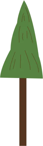 Pine Tree - Designer's Pick PNG