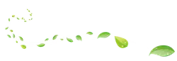 Green Vine - High Resolution PNG