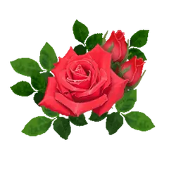 Red Rose - plant - Lossless PNG