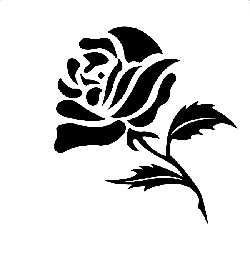 Rose - line art - PNG