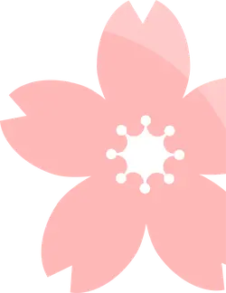 Cherry Blossom - pink - Transparent Background PNG