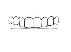 Black Owl - night hunting - High Resolution PNG