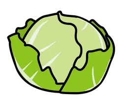 Cabbage - delicious - green - Lossless PNG