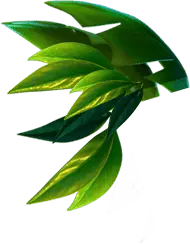 Green Leaves - fresh - Free PNG