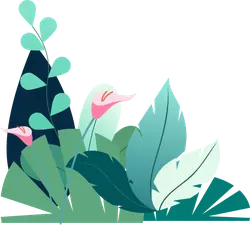 Tropical Flower Illustration - Recommended PNG