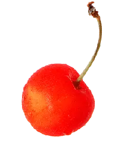 Cherry - red - round - No Watermark PNG