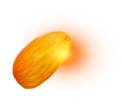 Almond - snack - PNG Images