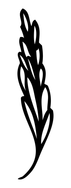 Black Owl - Free PNG - bird - Pic 7