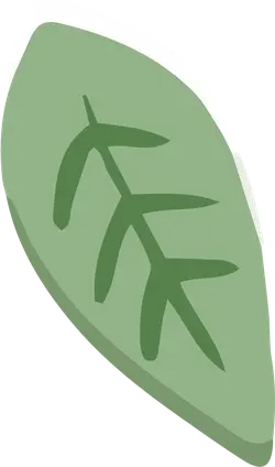 Leaf - leaf - High Resolution PNG