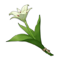 Lily - ribbon - Transparent Background PNG