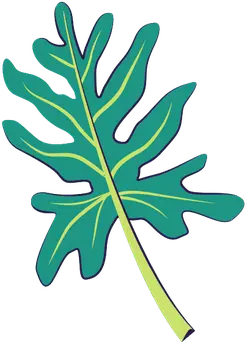 Green Leaf - leaf - Designer Recommended PNG