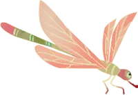 Dragonfly - red - wings - High Resolution PNG