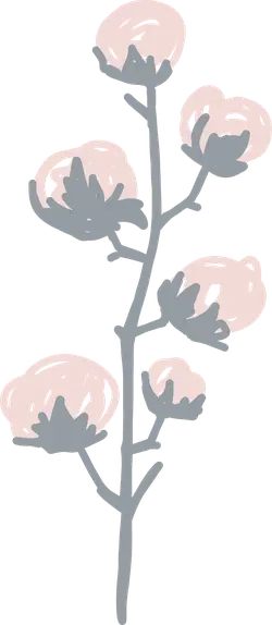 Cotton - simple - Transparent Layer PNG