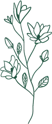 Green Line Flower Pattern - plant - Free Download PNG