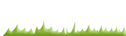 Cactus Spine - natural - PNG