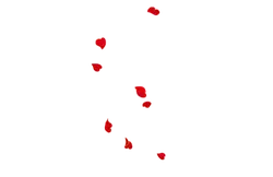 Rose Petals - love - Popular Download PNG