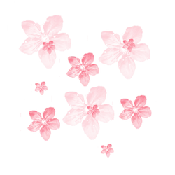 Red Flowers - art - Highly Rated PNG