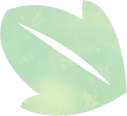 Leaf - Designer Recommended PNG - Popular Download PNG
