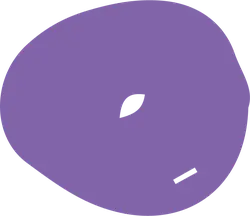 Purple Circle Pattern - geometric shape - Free Download PNG
