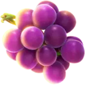 Grapes - purple - Transparent Layer PNG