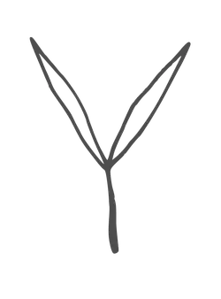 Clover - Highly Rated PNG - growth