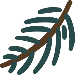 Pine Branch - green - brown - No Background PNG