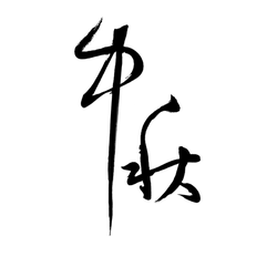 nocturnal - High Resolution PNG - Black Owl - Pic 2