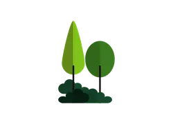 Two Trees - Transparent Layer PNG