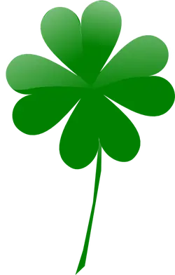 Four Leaf Clover - Trending PNG - plant