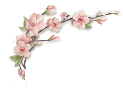 Cherry Blossom Branch - beautiful - Designer Recommended PNG