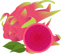 Dragon Fruit - red - Free PNG