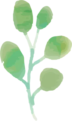 Plant Branch - art - PNG