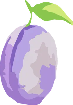 Plum - nature - High Resolution PNG