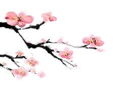 Plum Blossom Branch - nature - flowers - Transparent Layer PNG
