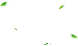 Falling Green Leaves - nature - Free for Commercial Use PNG