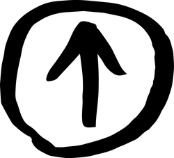 Black Owl - bird - No Background PNG - Pic 3