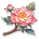 Rose - Lossless PNG - Recommended PNG