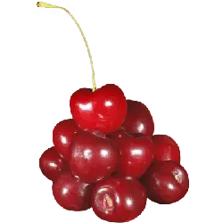 Cherry - sweet - juicy - High Resolution PNG