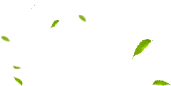 Leaves Falling - leaves - background - High Resolution PNG