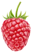 Raspberry - sweet - Popular Download PNG